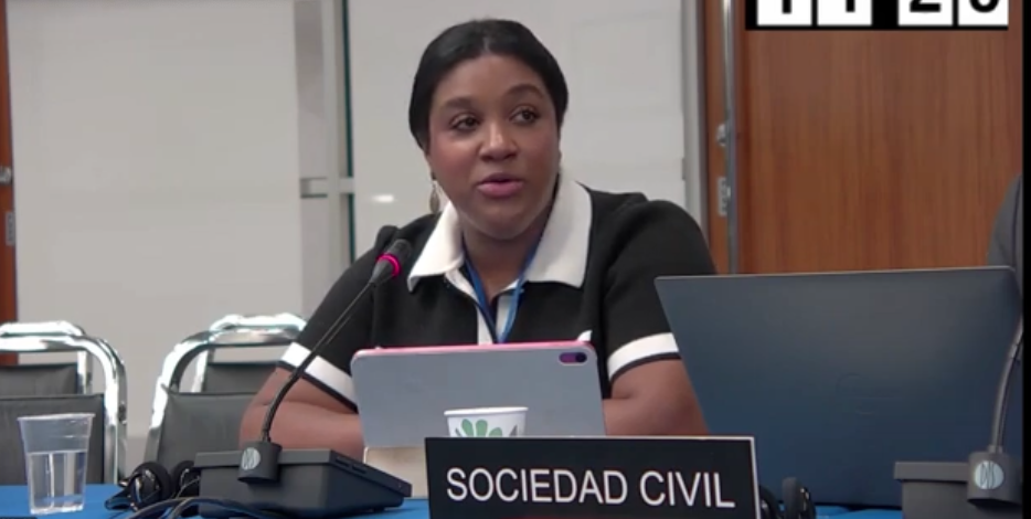 Tiffany Gillis-Brown testifying to the Inter-American Commission on Human Rights